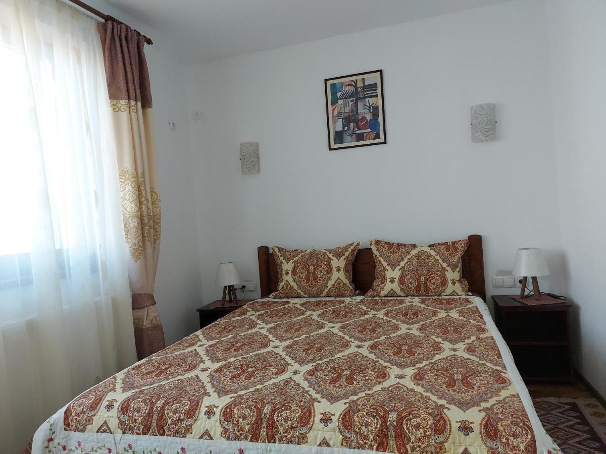 Pensiunea Albina Sinnicoara Luaran gambar