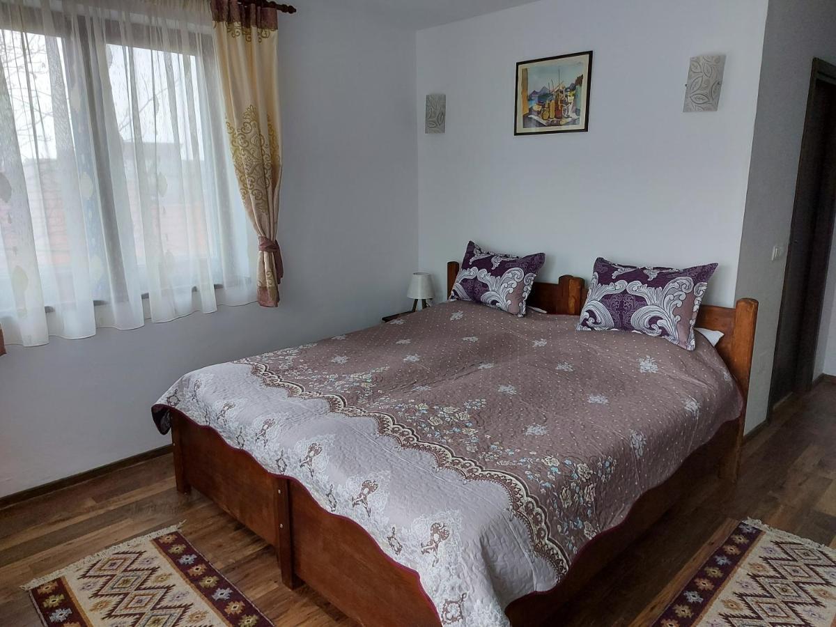 Pensiunea Albina Sinnicoara Luaran gambar