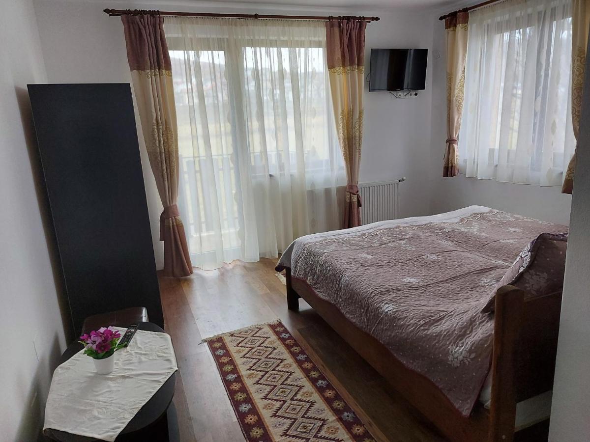 Pensiunea Albina Sinnicoara Luaran gambar