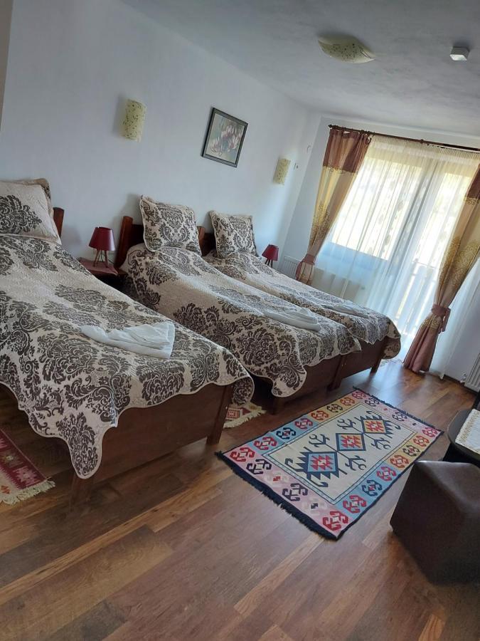 Pensiunea Albina Sinnicoara Luaran gambar