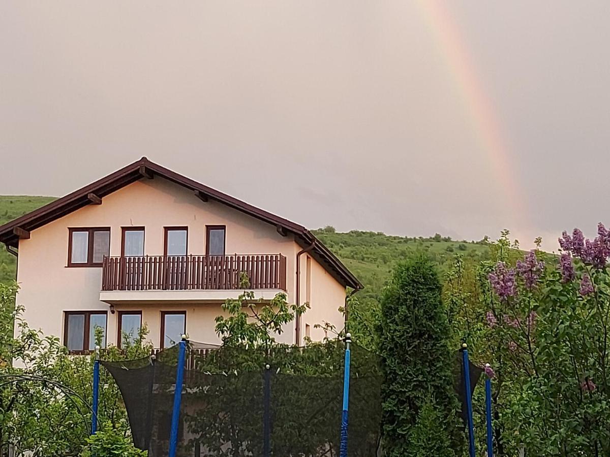 Pensiunea Albina Sinnicoara Luaran gambar